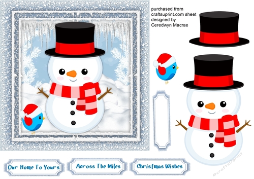 Snowman and Little Bird 1