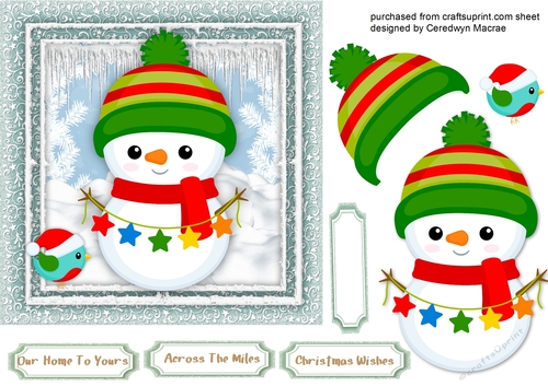 Snowman and Little Bird 2