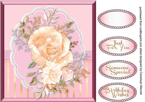 Stunning Peach roses on a Scalloped Mat 