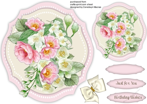 Beautiful Brier Roses and Jasmine 