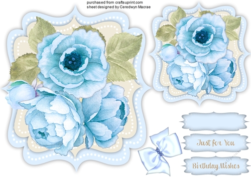 Beautiful Blue Peony Roses 