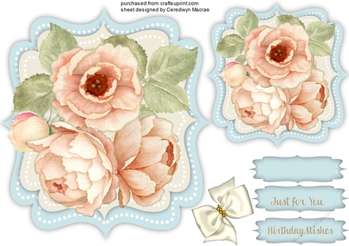 Beautiful Coffee Peony Roses 
