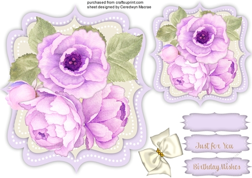 Beautiful Lilac Peony Roses 