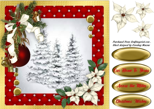 Beautiful Fir Trees and Poinsettias 