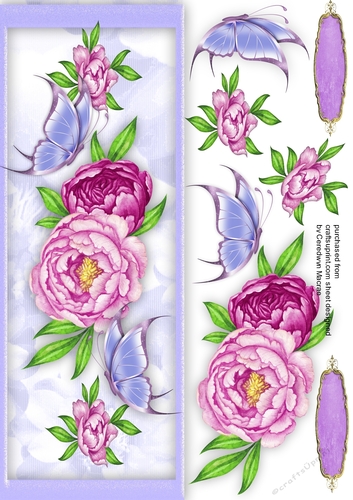D.L Beautiful Roses and Butterflys 