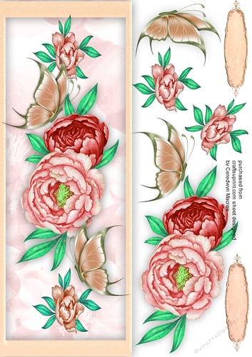 D.L Beautiful Roses and Butterflys 
