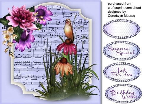Beautiful Cone Bird and Dahlias 