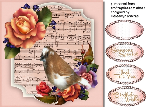 Beautiful Finch and Roses