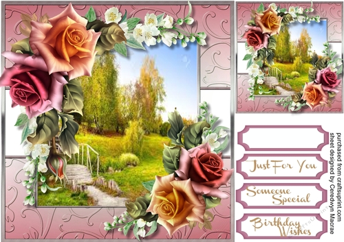 Beautiful Roses and  Jasmine 