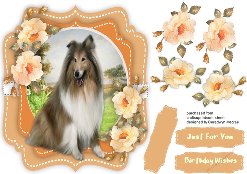 Beautiful Collie and Peach Roses 
