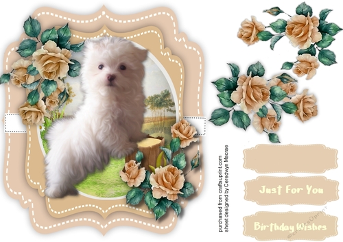 Beautiful Maltese Pup On a Log 