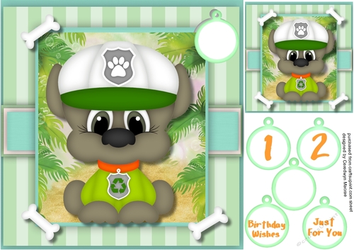 Paw Patrol  Rocky 3 