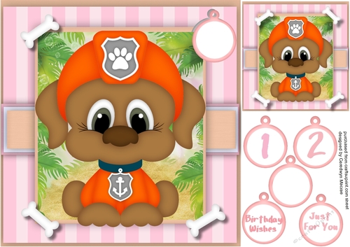 Paw Patrol  Zuma 5