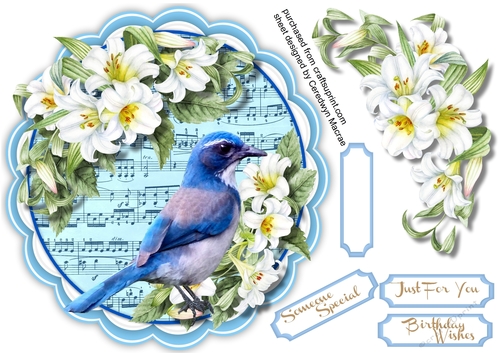 Beautiful Blue Bird and Lillys 3