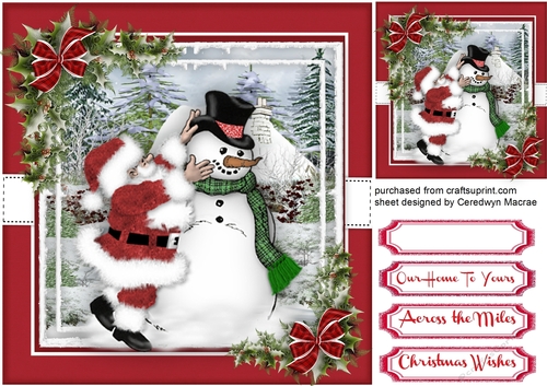 The Snowmans New Hat 