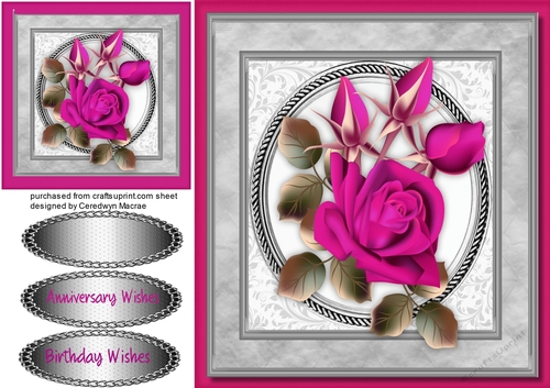 Beautiful Cerise Roses on a Silver frame  