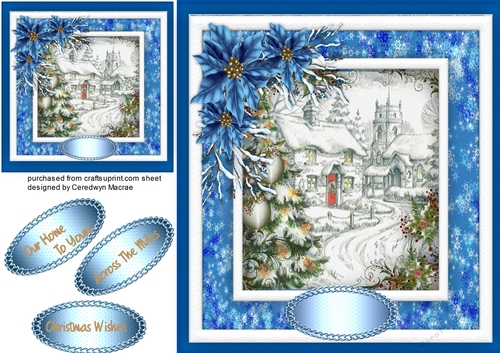 Beautiful Church and Blue Poinsettias 