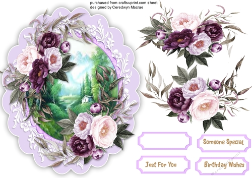 Beautiful Soft Velvet Roses and Scene