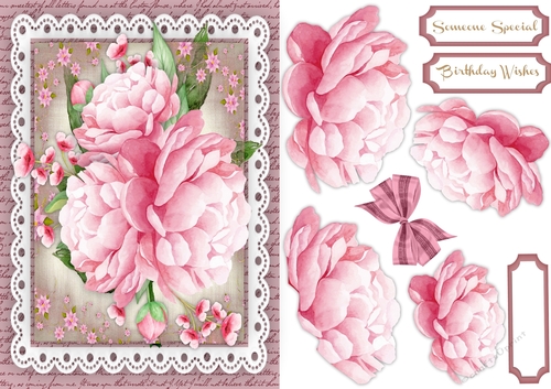 Beautiful Pink Peony Roses on lace