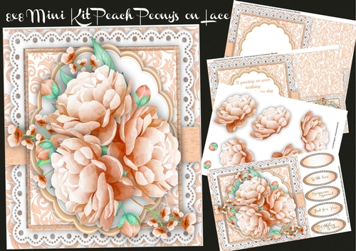 8x8 Mini Kit, Peach Peonys on Lace 
