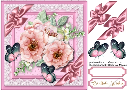Beautifull Butterflys and Roses  3