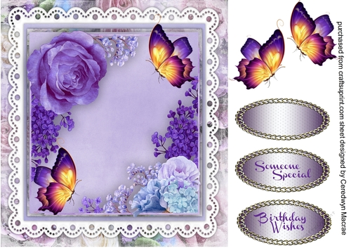 Beautiful Lilac  Flowers  and Butterflys 