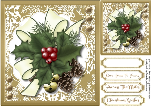 Beautiful Christmas Pine cones and Holly 