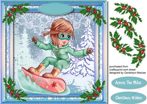 Lovely Snow Boarder Girl