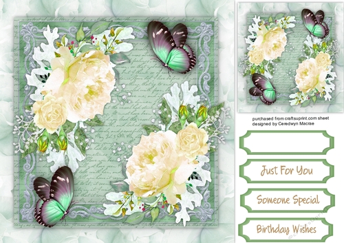 Beautiful Cream Roses and Butterflys 