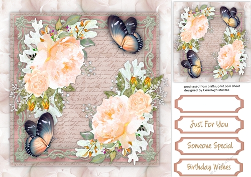 Beautiful Peach Roses and Butterflys 