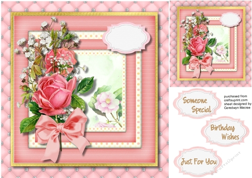 Pink Roses 0n a Double Frame 