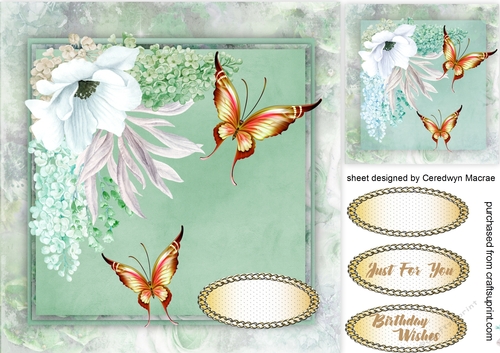 Beautiful Lilac and Butterflys 