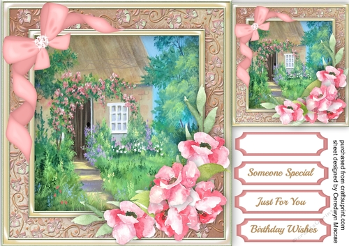 Beautiful Rose tree Cottage