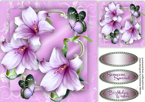 Beautiful Mavue Logic Lillies and  butterflys
