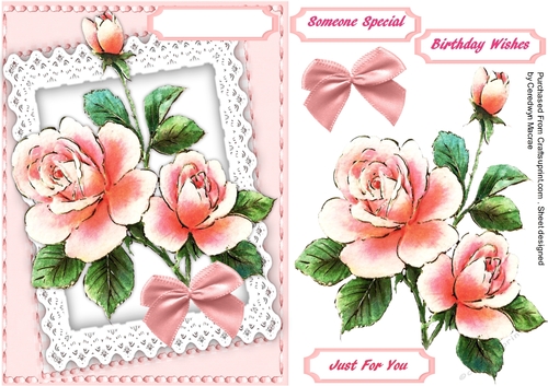  Pink Roses on lace 