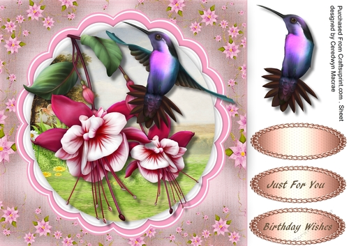 Beautiful Fushia and Humming Bird 