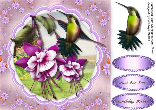 Beautiful Lilac Fushia and Humming Bird 