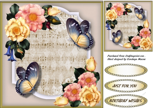 Music and Butterflys 1 