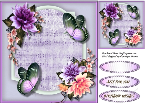 Music and Butterflys 3
