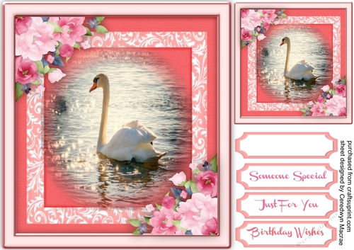 Beautiful Swan Song and Roses 