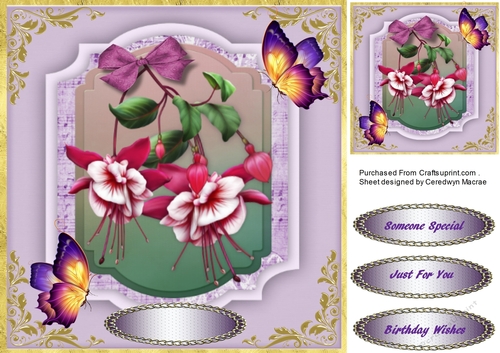 Beautiful Fushias And Butterflys 