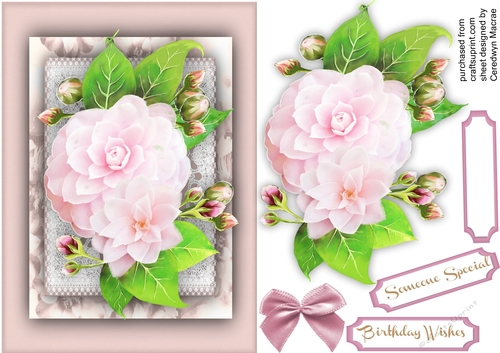 Stunning Pink Camellias on lace 