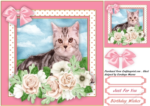 Beautiful Cat in the Roses 