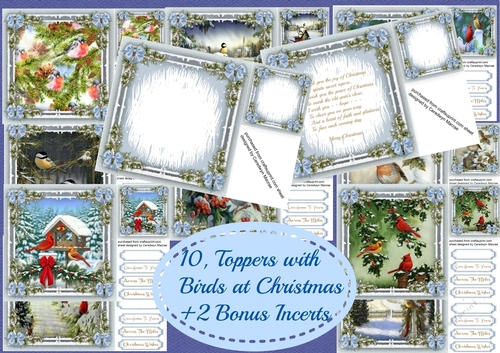 10 ,Toppers with Birds at Christmas Time  + 2 Bonus Incerts 