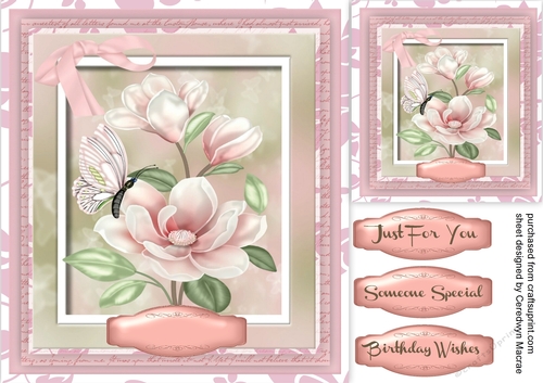 Pink Magnolia and Butterfly 