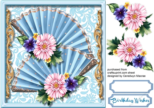 Beautiful Blue Fan Affair
