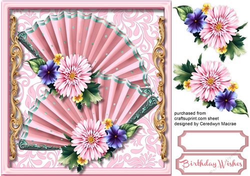 Beautiful Pink Fan Affair