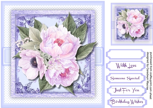 Stunning  Pale Lilac Nocturne Roses 