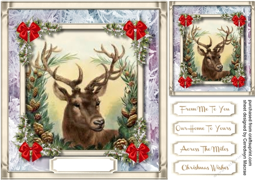 The Majestic Stag 