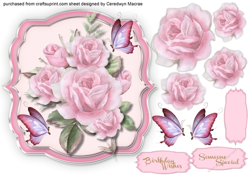 Love Roses and Butterflys